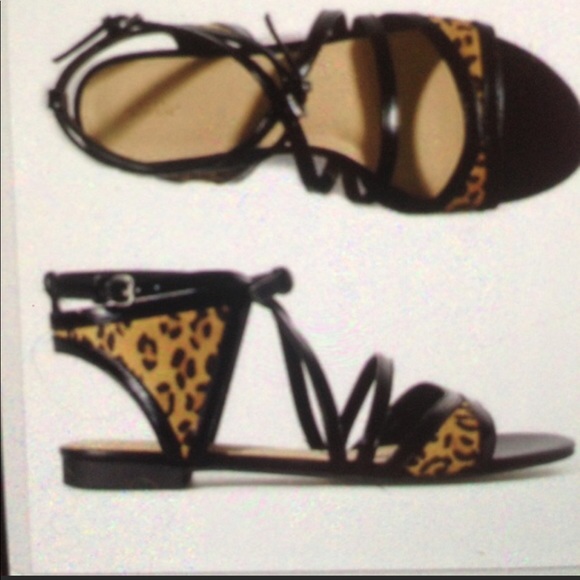 Zara Shoes - Zara animal print strappy sandals